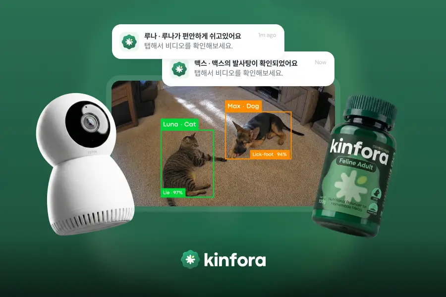 림피드, AI 펫캠 ‘킨포라’ 출시…반려동물 건강관리도 AI가 실시간 진단한다